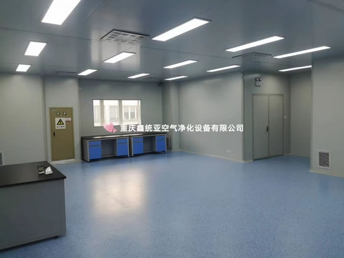 重慶材料研究院有限公司萬(wàn)級(jí)凈化車(chē)間